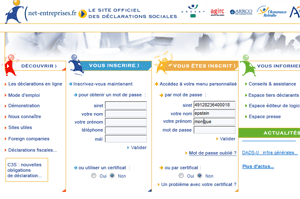 copie-ecran-netentreprises