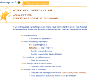 copie-ecran-netentreprises2